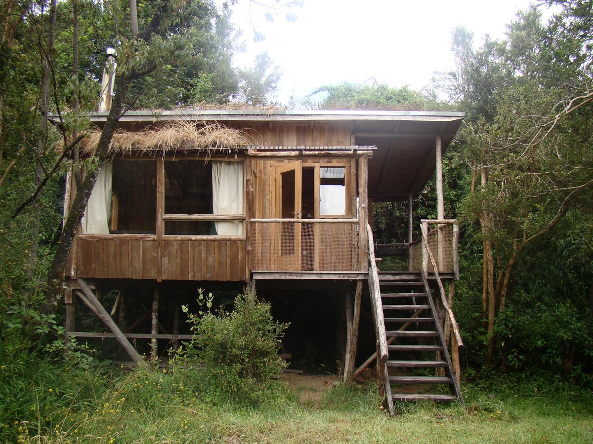 Puelo Siempreverde Villa Puelo River ภายนอก รูปภาพ